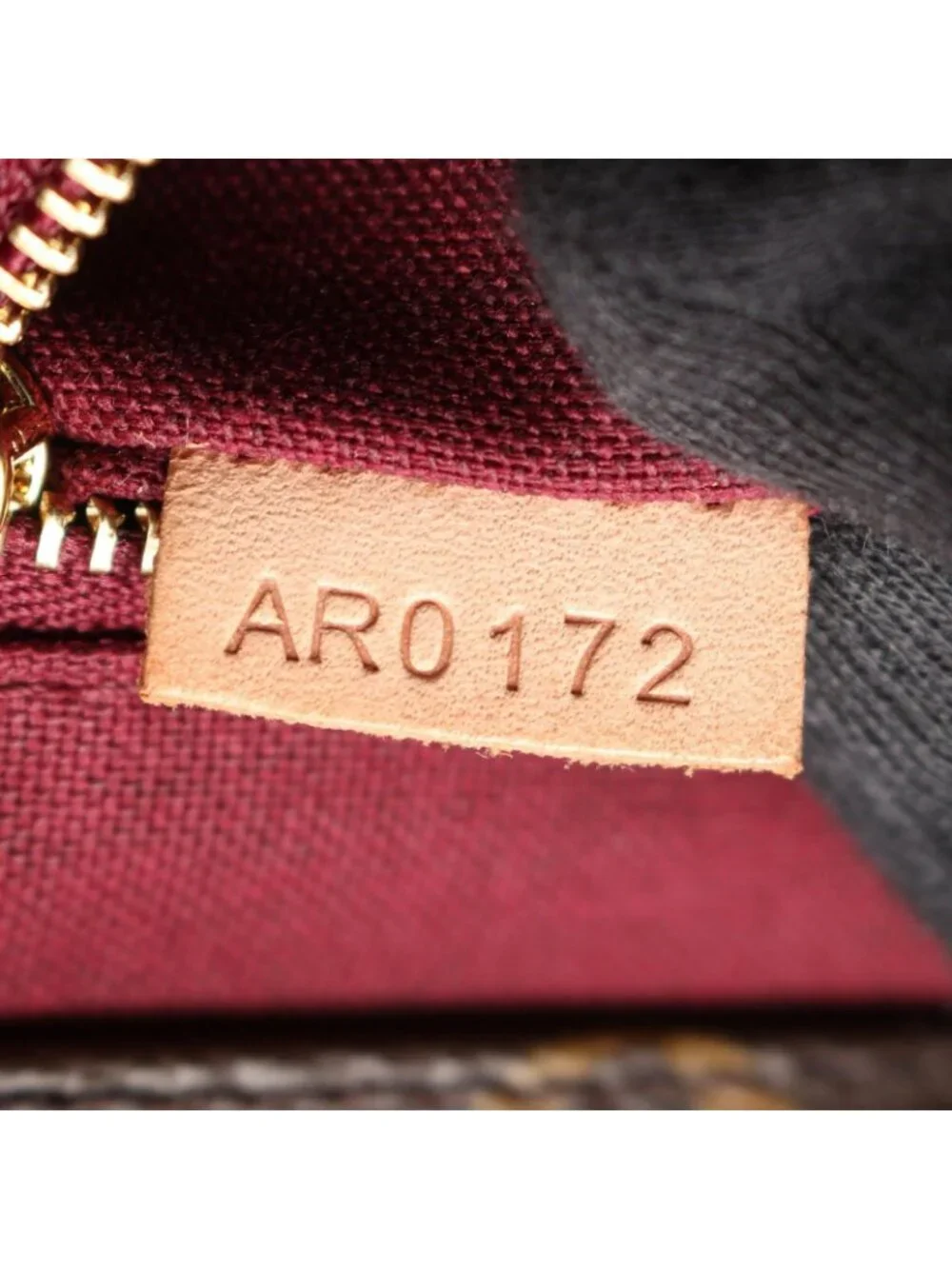 Louis Vuitton Tote Raspail PM Canvas Leather